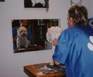 Nicky 18.11.2005